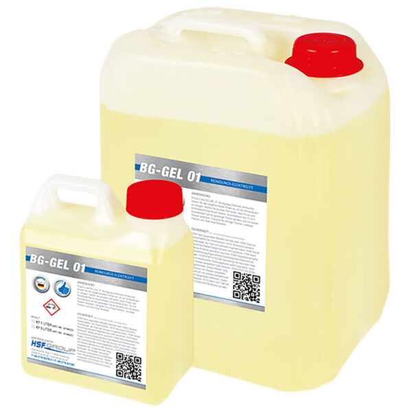 BG-Gel 01 Reinigungs-Elektrolyt