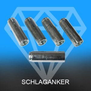 Schlaganker